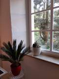FensterPrincipessa2